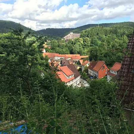 Ferienwohnung Zur Alten Post Bad Grund Extérieur photo